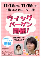 クリックで拡大します